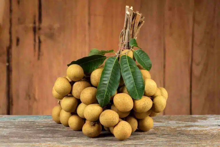 nhãn lồng