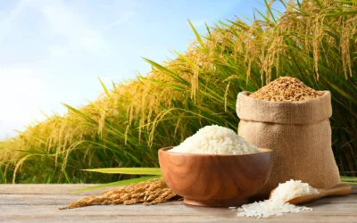  Từ Lúa Tới Gạo Lứt: Hành Trình Về Với Gốc Rễ