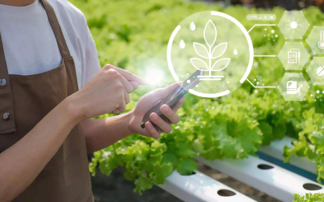 Xu Hướng Tiêu Dùng Nông Sản Sạch tại TP.HCM