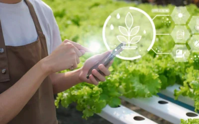 Xu Hướng Tiêu Dùng Nông Sản Sạch tại TP.HCM
