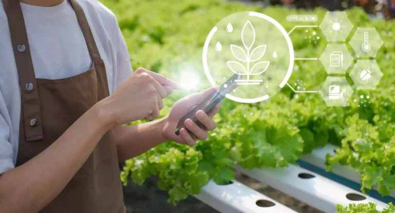 xu hướng tiêu dùng nông sản sạch tại TP.HCM