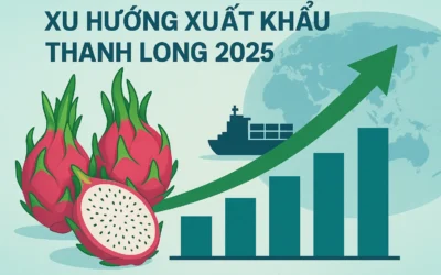 Thị trường xuất khẩu thanh long Việt Nam 2025: Xu hướng, diễn biến và dự báo