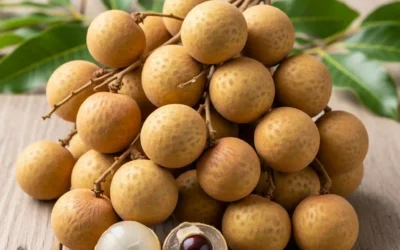 Tác dụng của quả Nhãn tươi