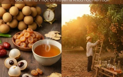 Long Nhãn Có Nóng Không? Giải Mã Tính Vị & Cách Dùng Chuẩn