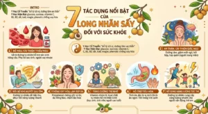 7 tác dụng nổi bật của long nhãn sấy