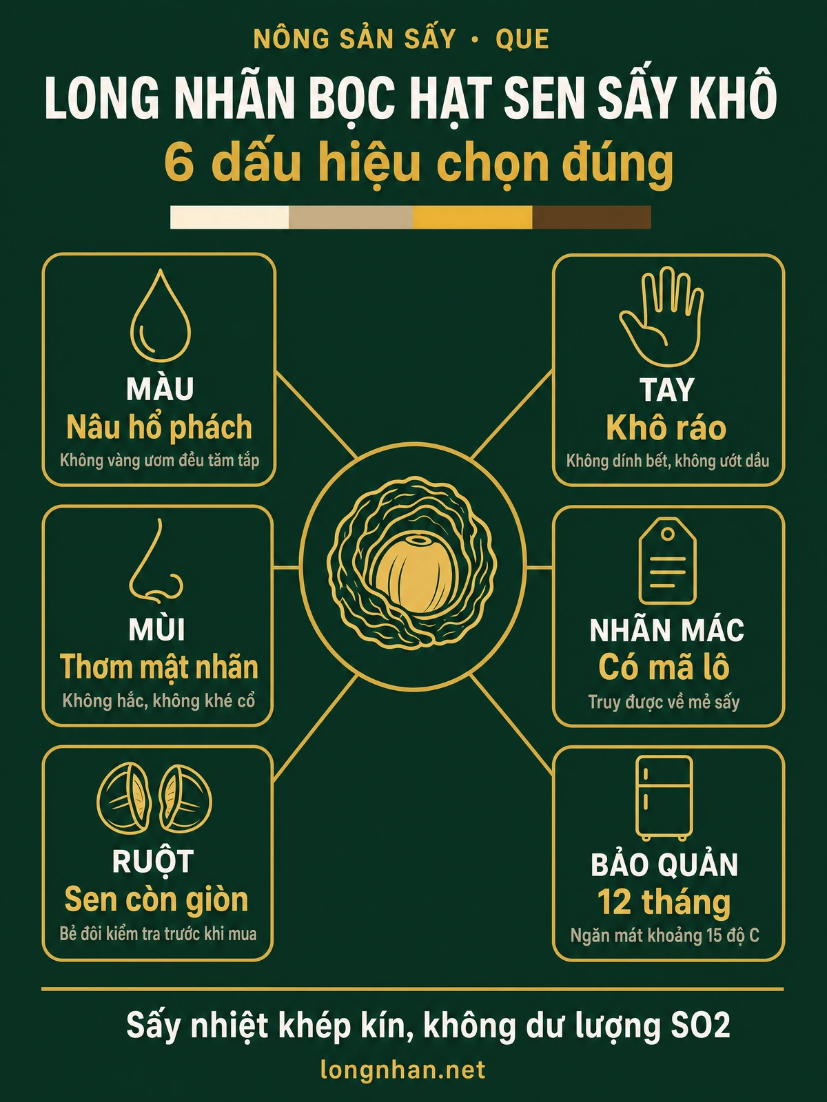 Infographic quy trình và cách chọn long nhãn bọc hạt sen sấy khô đạt chuẩn