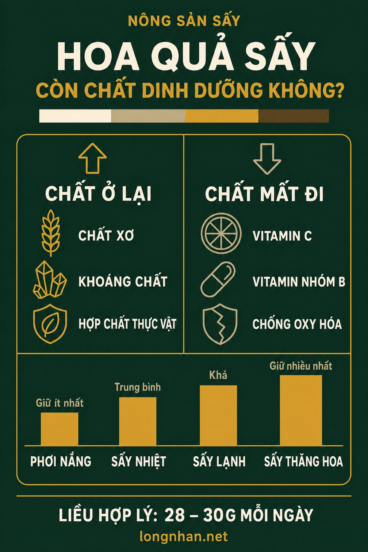 Infographic giải đáp hoa quả sấy còn chất dinh dưỡng không theo từng nhóm chất