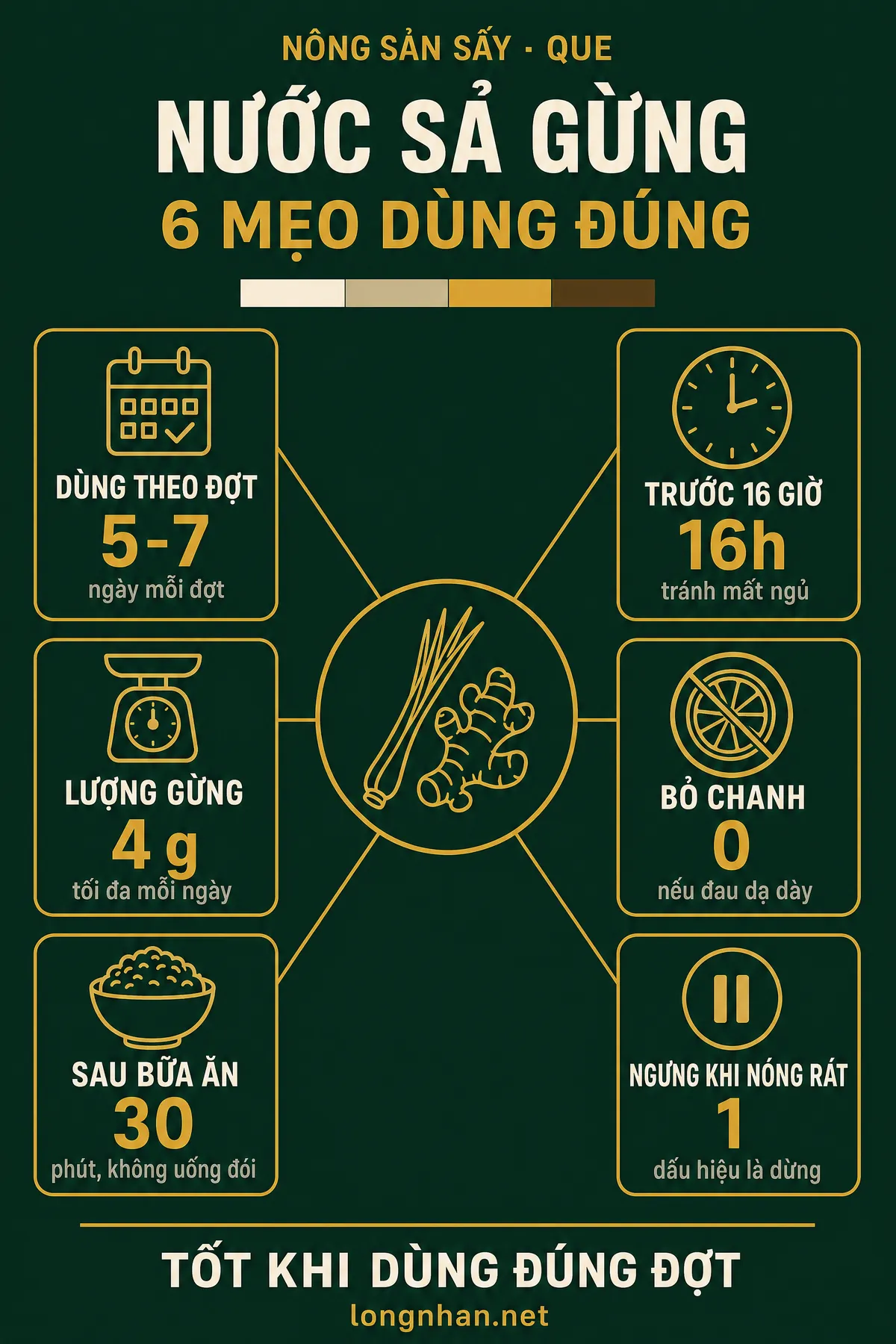 Infographic uống nước sả gừng mỗi ngày có tốt không với 6 mẹo dùng đúng cách