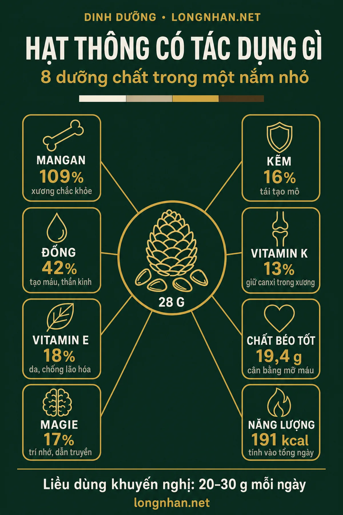Infographic hạt thông có tác dụng gì với 8 lợi ích cho sức khỏe