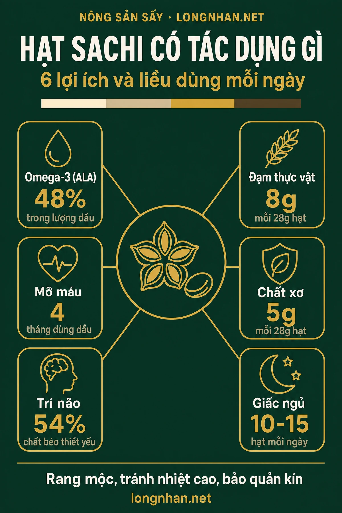 Infographic hạt sachi có tác dụng gì với 6 lợi ích và liều dùng