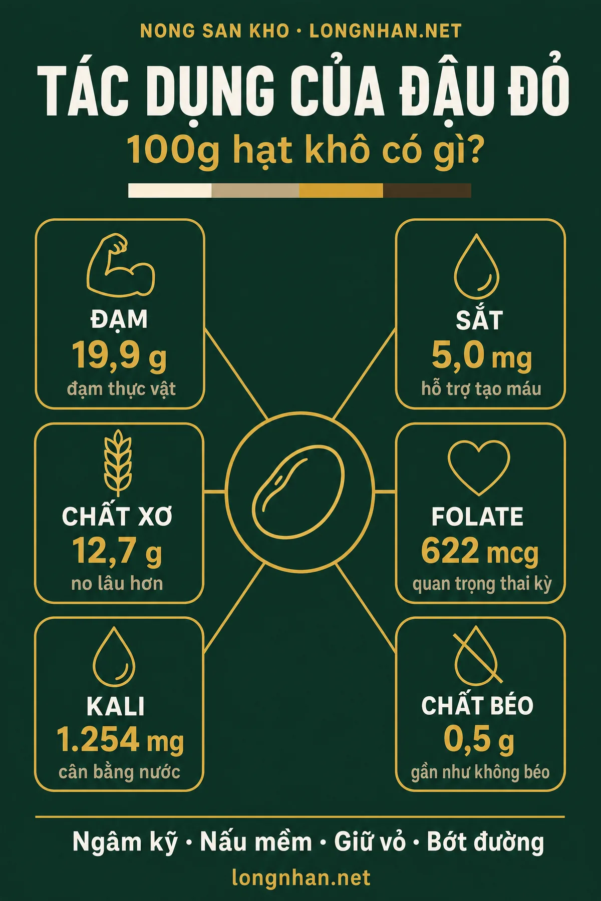 Infographic tác dụng của đậu đỏ và thành phần dinh dưỡng 100g hạt khô