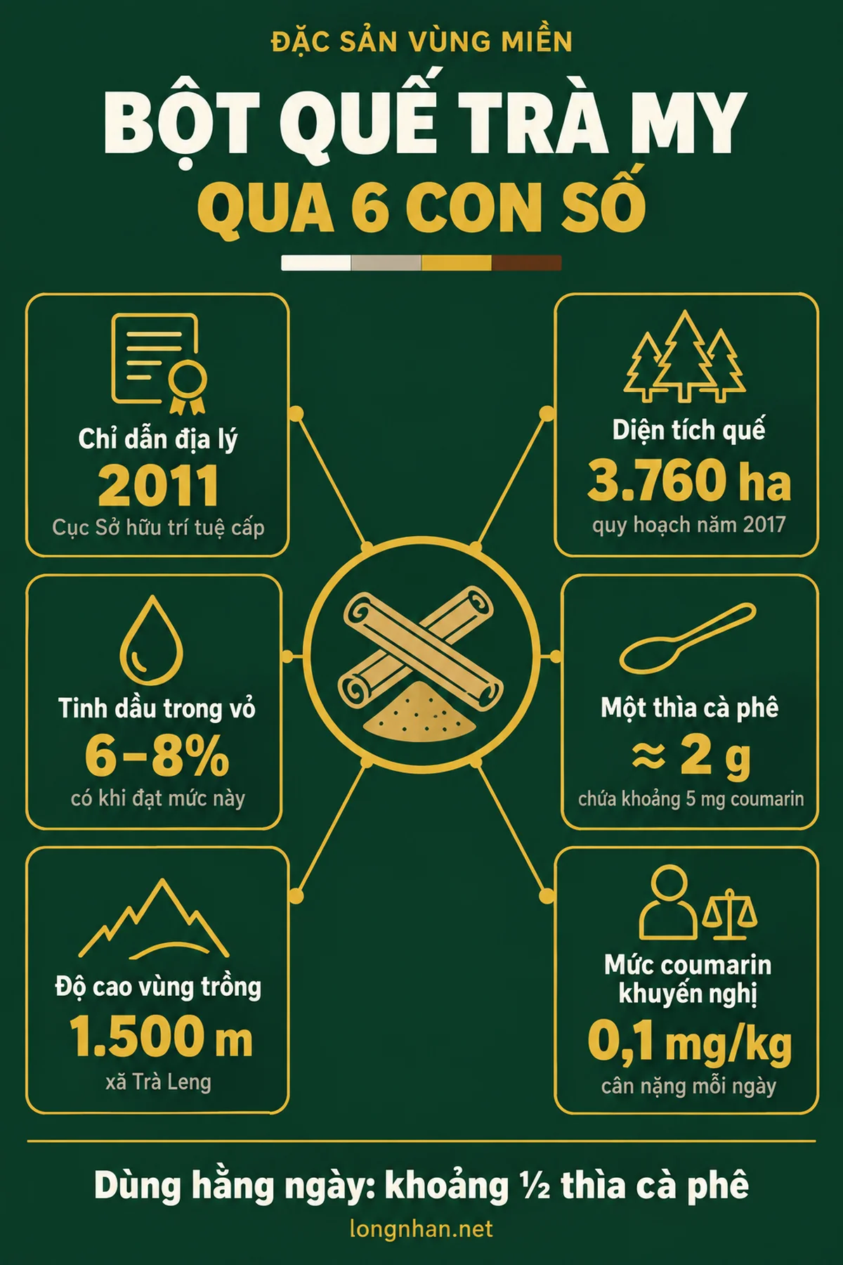 Infographic bột quế Trà My qua 6 con số về vùng trồng, tinh dầu và liều dùng