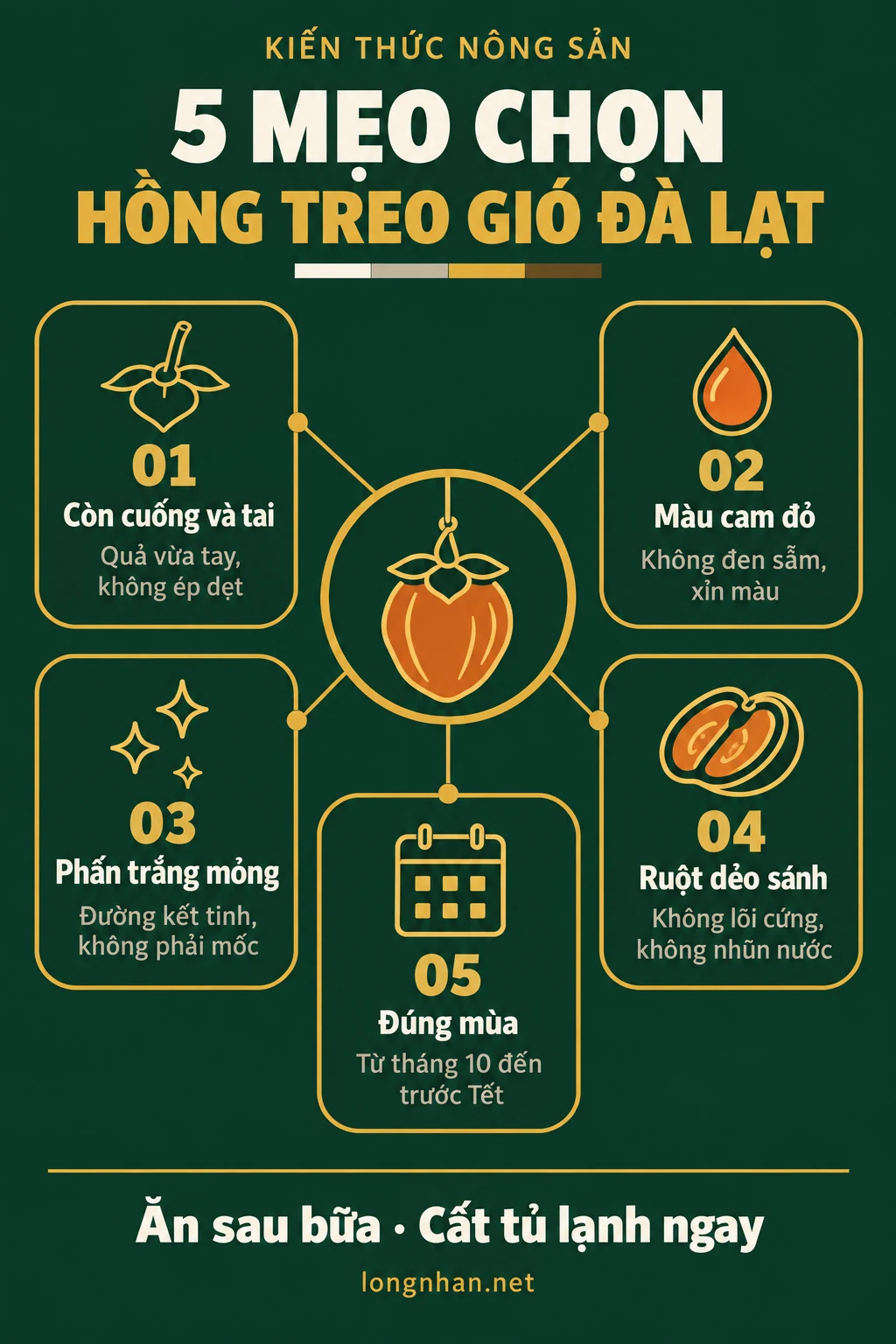 Infographic 5 mẹo chọn hồng treo gió đặc sản Đà Lạt chuẩn